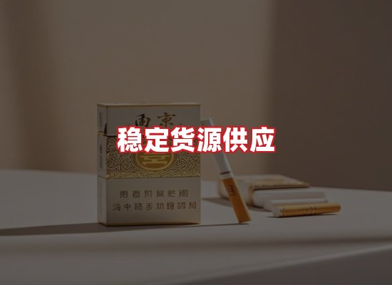 专业团队